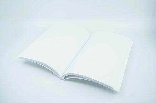 An open book with blank pages.